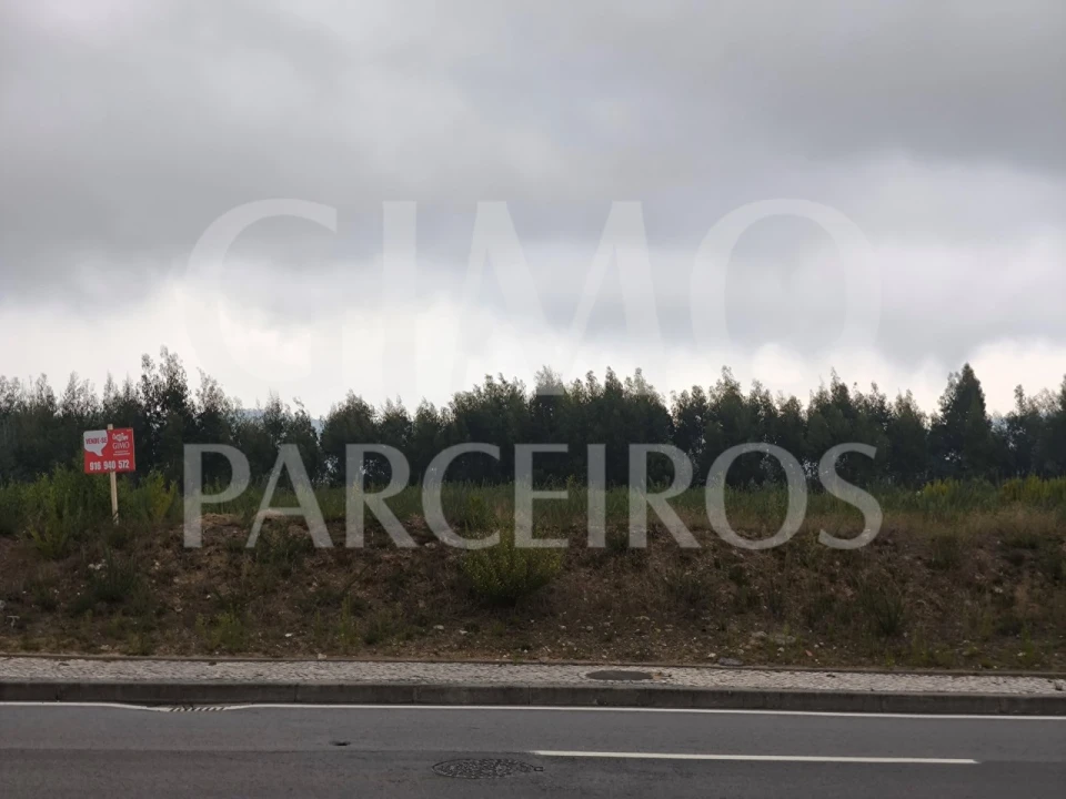 Terreno para Venda em O. Azeméis, Riba-Ul, Ul, Macinhata Seixa, Madail Foto 1