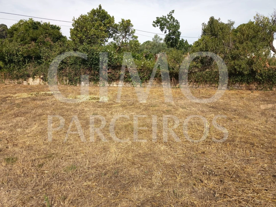 Terreno para Venda em Oiã Foto 3