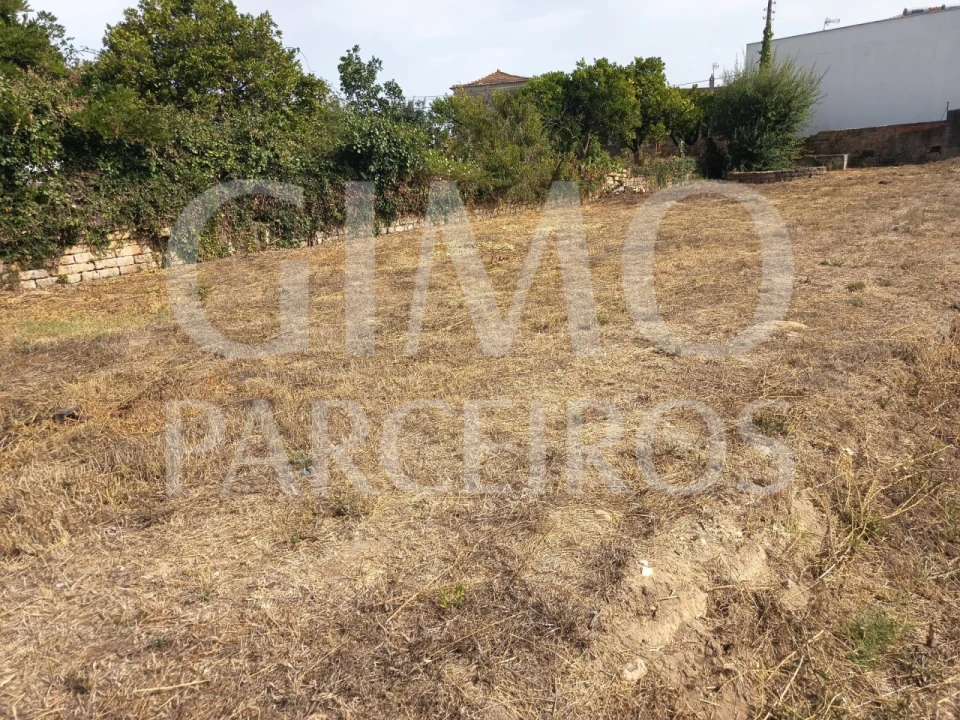 Terreno para Venda em Oiã Foto 6