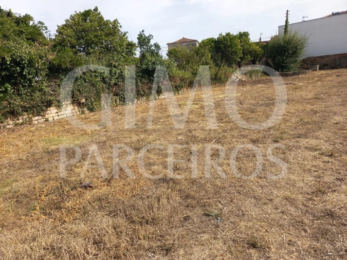 Terreno para Venda em Oiã Foto 7