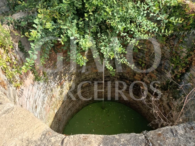 Terreno para Venda em Oiã Foto 8