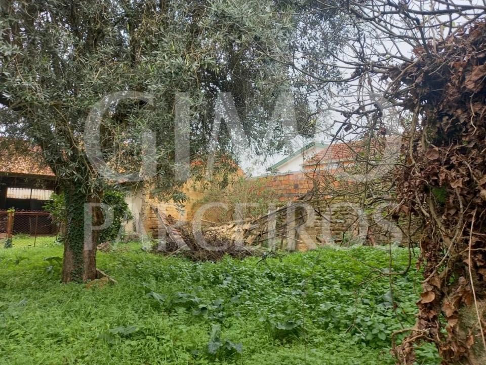 Moradia T3 para Venda em Oiã Foto 19