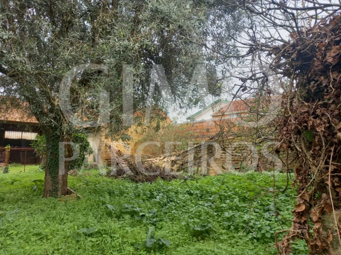 Moradia T3 para Venda em Oiã Foto 19