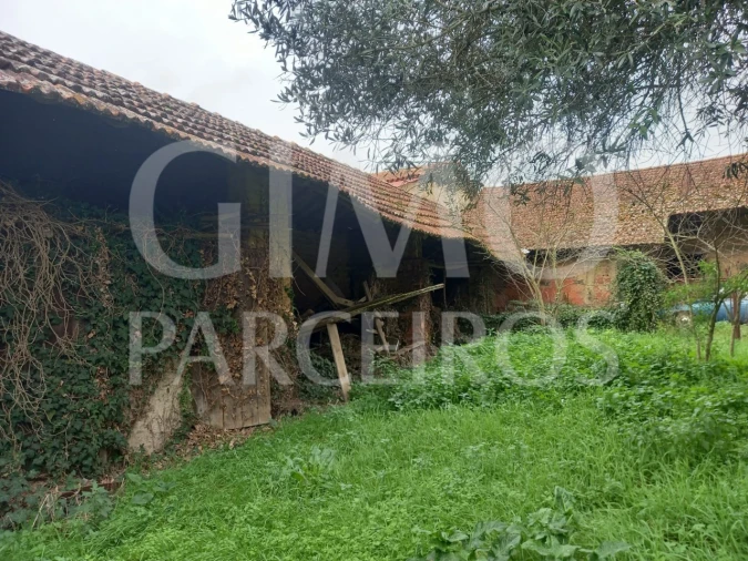 Moradia T3 para Venda em Oiã Foto 22