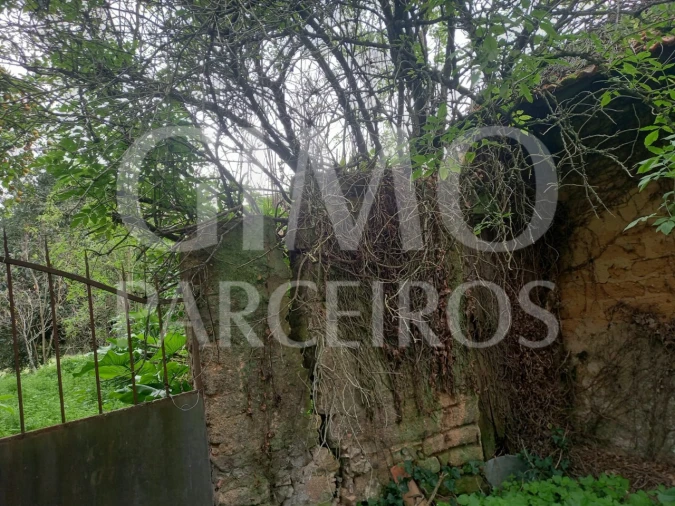 Moradia T3 para Venda em Oiã Foto 24