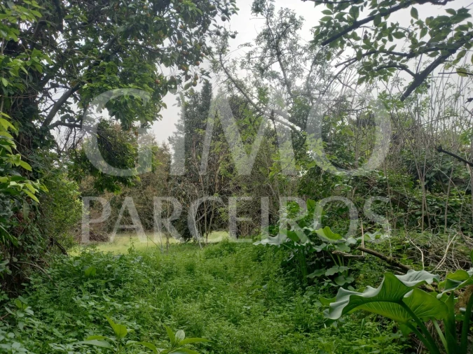 Moradia T3 para Venda em Oiã Foto 25