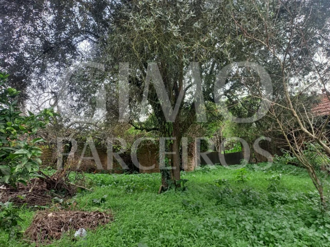 Moradia T3 para Venda em Oiã Foto 23