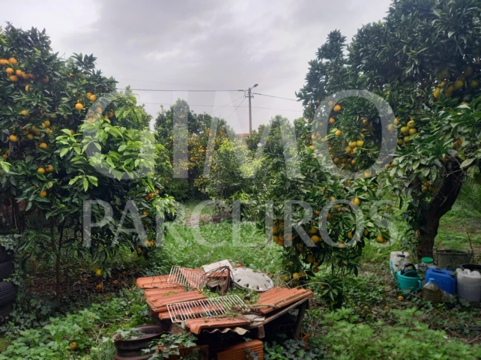 Moradia T2 para Venda em Oiã Foto 20