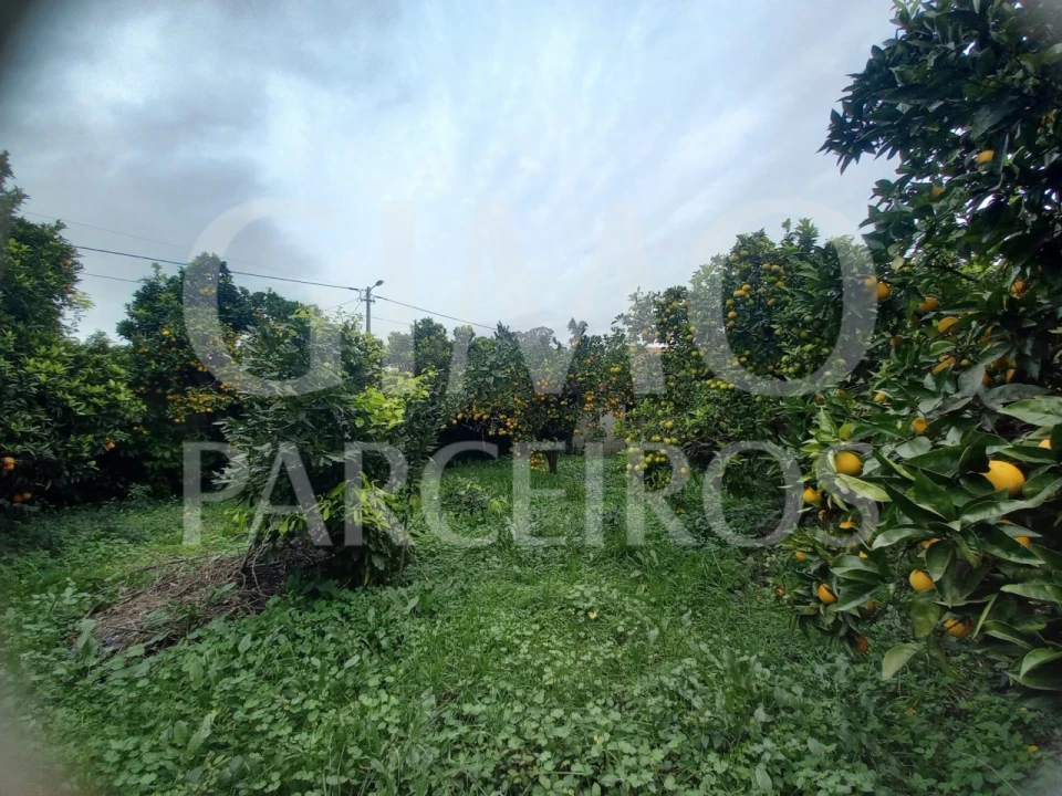 Moradia T2 para Venda em Oiã Foto 18