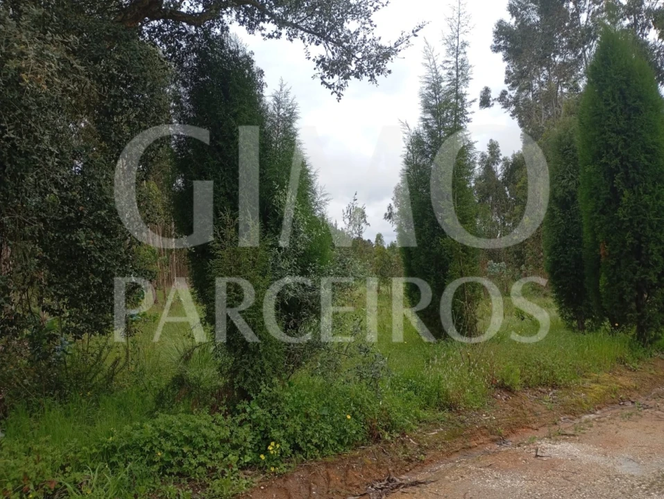 Terreno para Venda em Oiã Foto 10