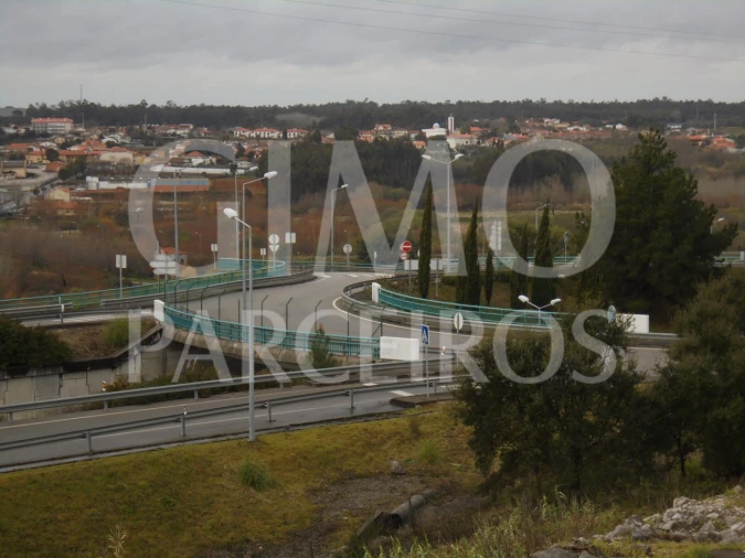 Negócio para Venda em Oliveira do Bairro Foto 2