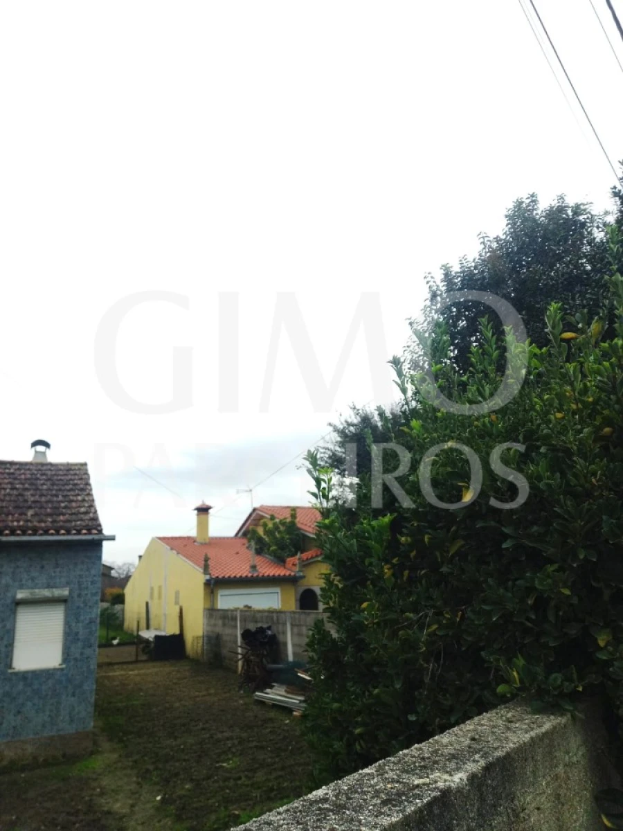 Terreno para Venda em Oiã Foto 1