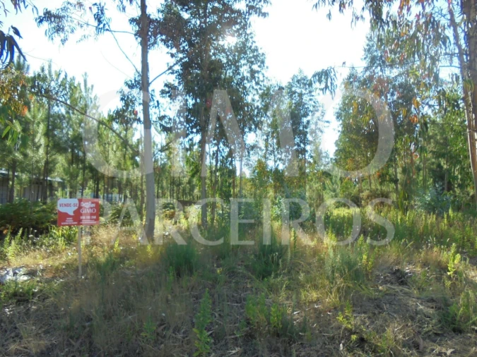 Terreno para Venda em Oliveira do Bairro Foto 1