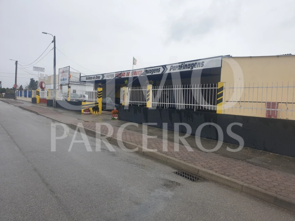 Negócio para Venda em Bustos, Troviscal e Mamarrosa Foto 4