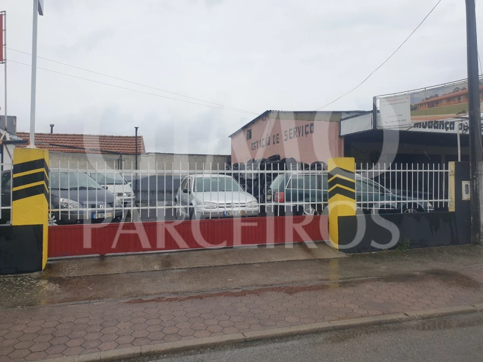 Negócio para Venda em Bustos, Troviscal e Mamarrosa Foto 5