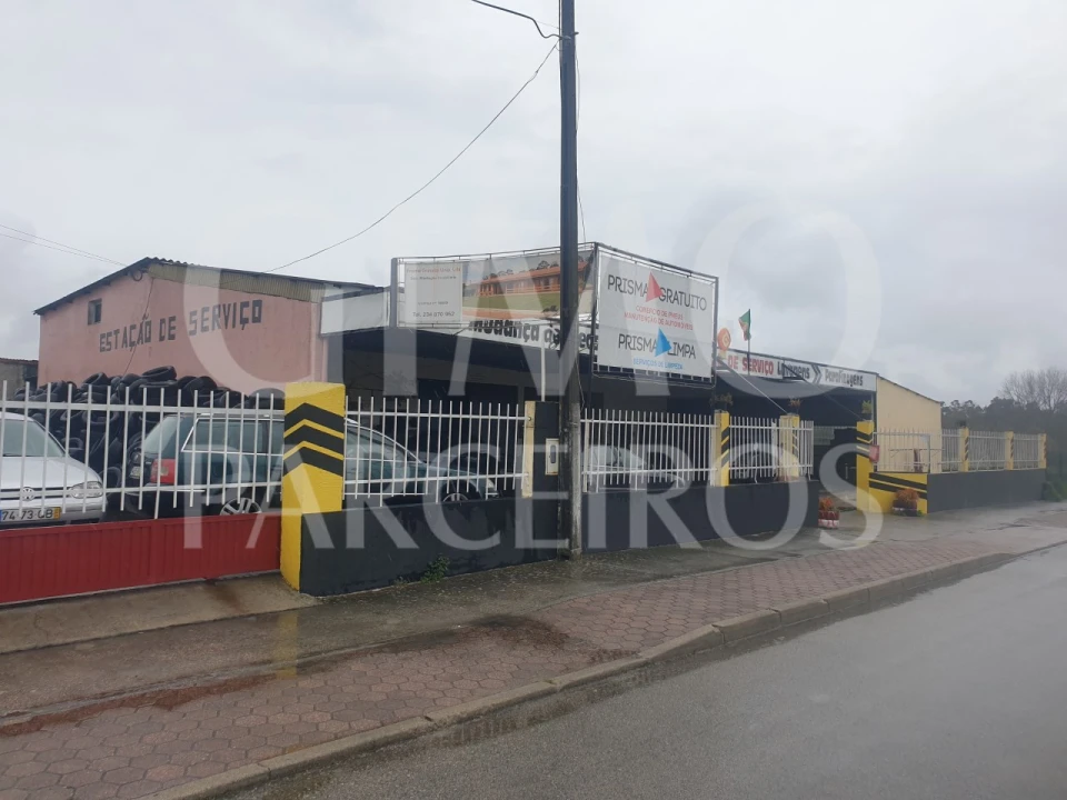 Negócio para Venda em Bustos, Troviscal e Mamarrosa Foto 6