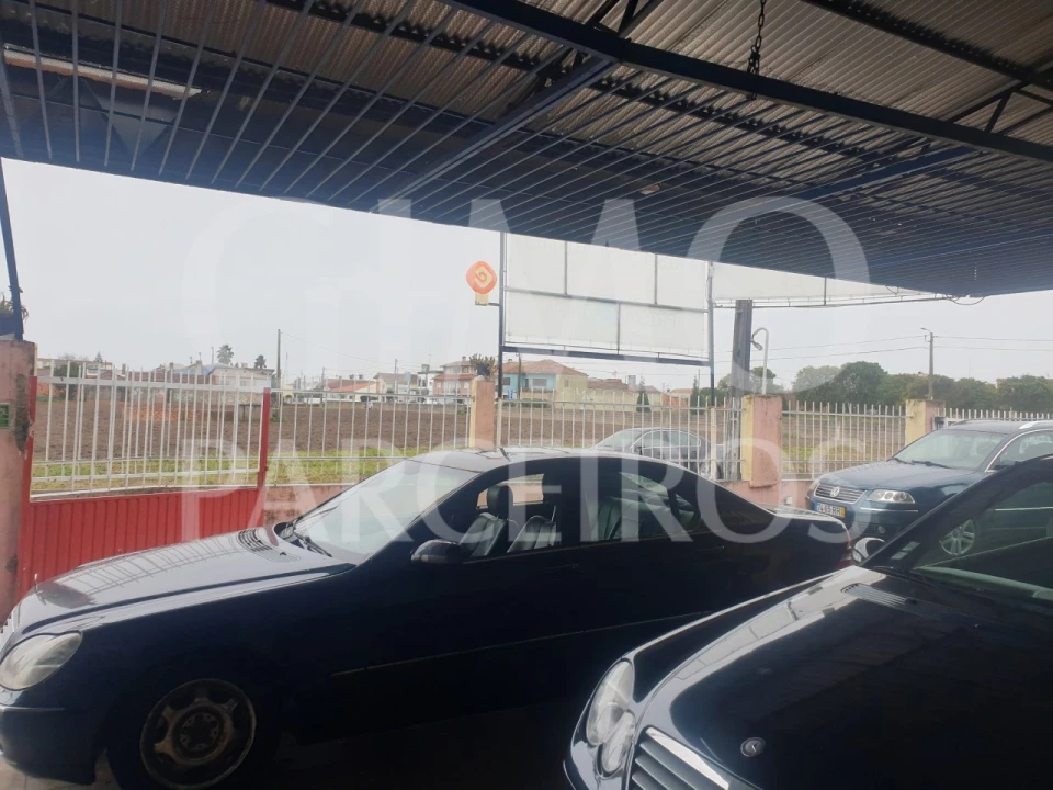 Negócio para Venda em Bustos, Troviscal e Mamarrosa Foto 15