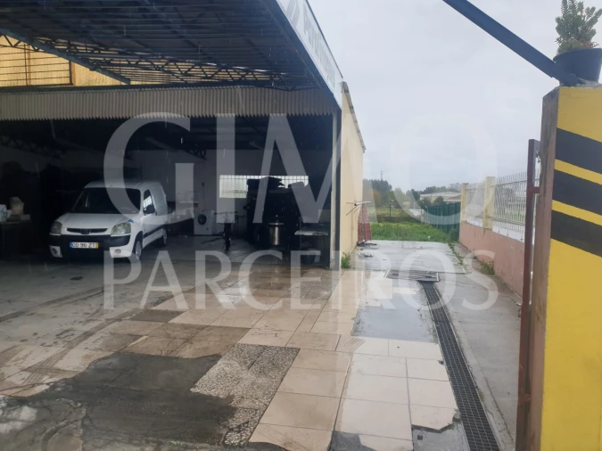 Negócio para Venda em Bustos, Troviscal e Mamarrosa Foto 8