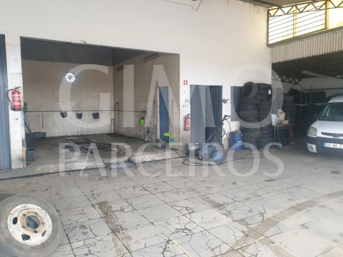 Negócio para Venda em Bustos, Troviscal e Mamarrosa Foto 10