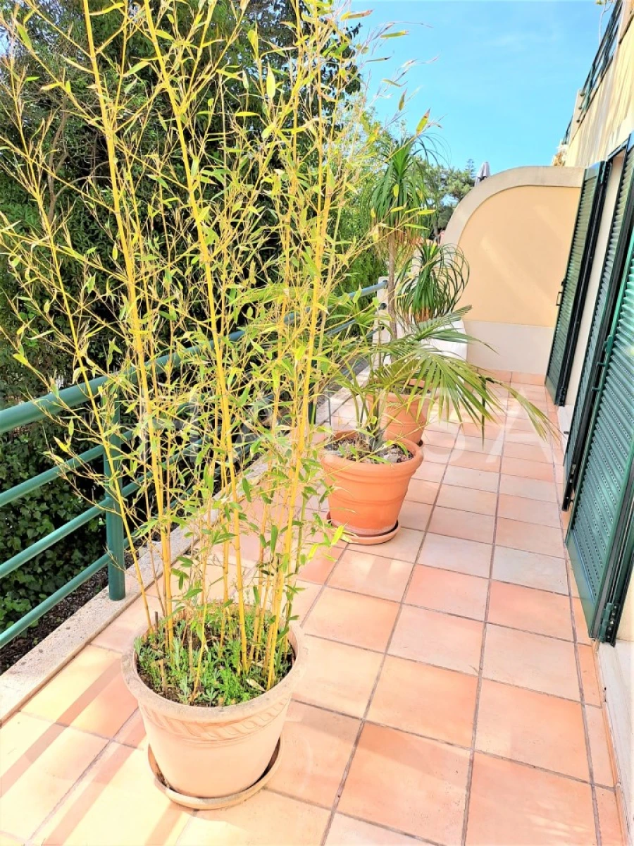 Apartamento T2 para Venda em Cascais e Estoril Foto 14