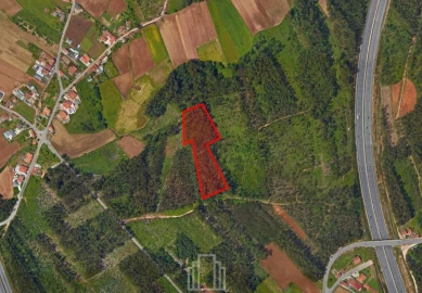 Terreno Agricola ou Rústico para Venda em Valega