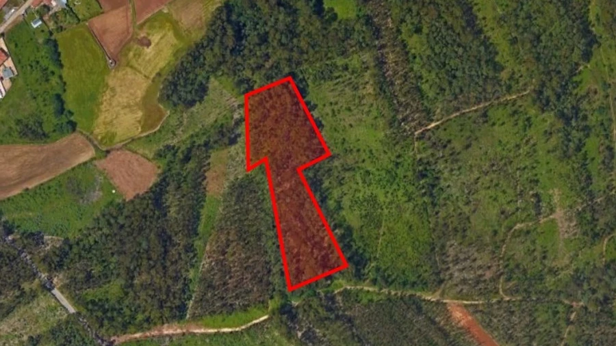 Terreno Agricola ou Rústico para Venda em Valega