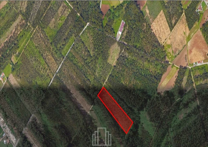 Terreno Agricola ou Rústico para Venda em Avanca