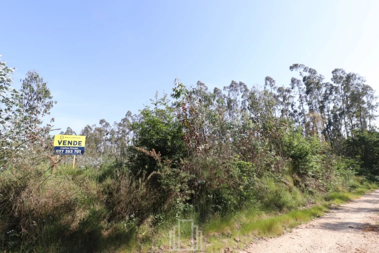 Terreno Agricola ou Rústico para Venda em Avanca Foto 2