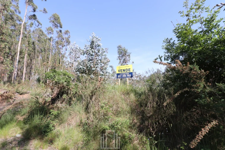 Terreno Agricola ou Rústico para Venda em Avanca Foto 3