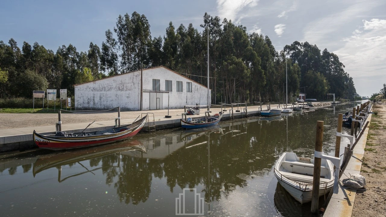 Armazém para Arrendamento em Valega Foto 22