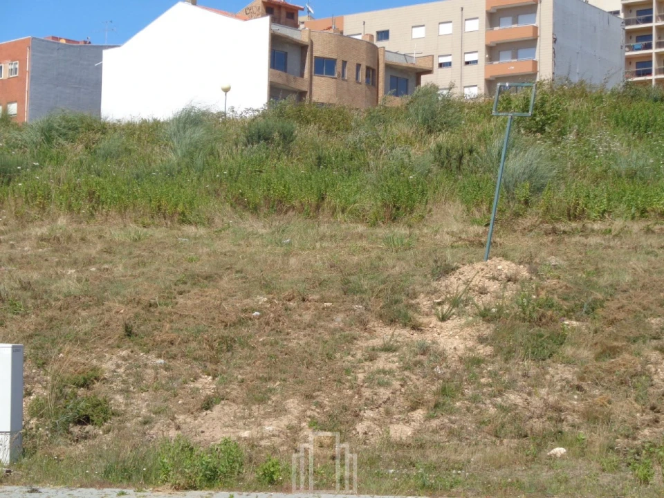 Terreno para Venda em São João de Ver Foto 3