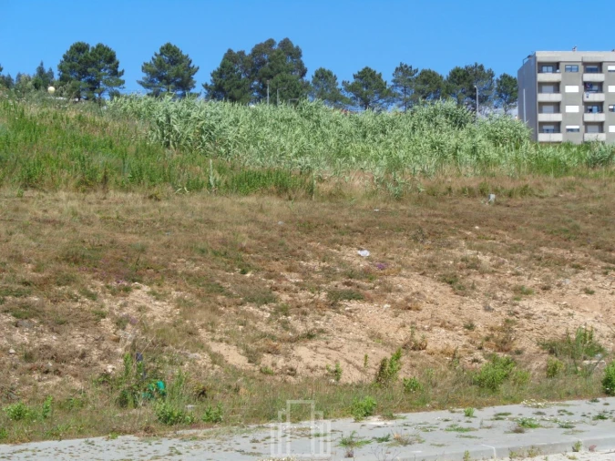 Terreno para Venda em São João de Ver Foto 2