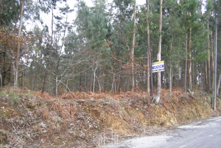 Terreno para Venda em São Miguel do Souto e Mosteirô Foto 2