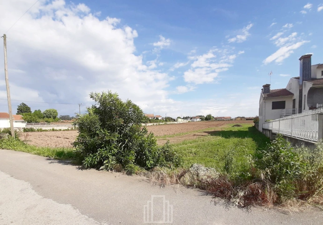 Terreno Agricola ou Rústico para Venda em Ovar, São João, Arada e São Vicente de Pereira Jusã Foto 2