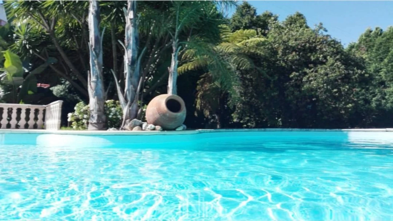 Moradia T3 para Venda em Santa Maria de Lamas Foto 14