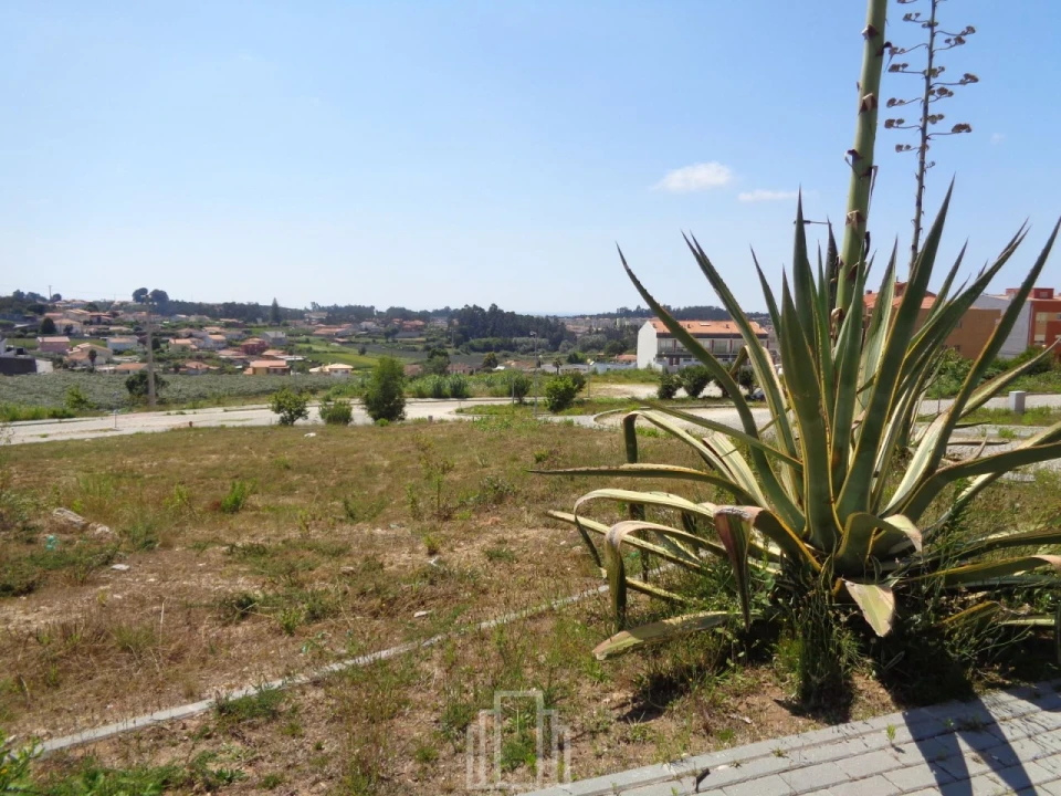 Terreno P/ Prédio para Venda em São João de Ver Foto 1