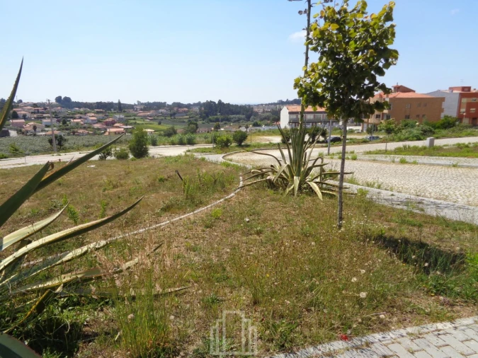 Terreno P/ Prédio para Venda em São João de Ver Foto 3
