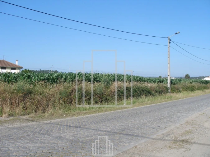 Terreno Agricola ou Rústico para Venda em Valega Foto 2