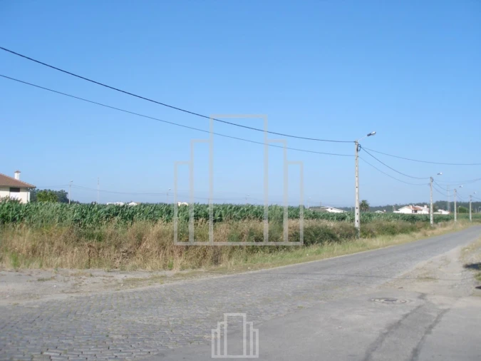 Terreno Agricola ou Rústico para Venda em Valega Foto 3