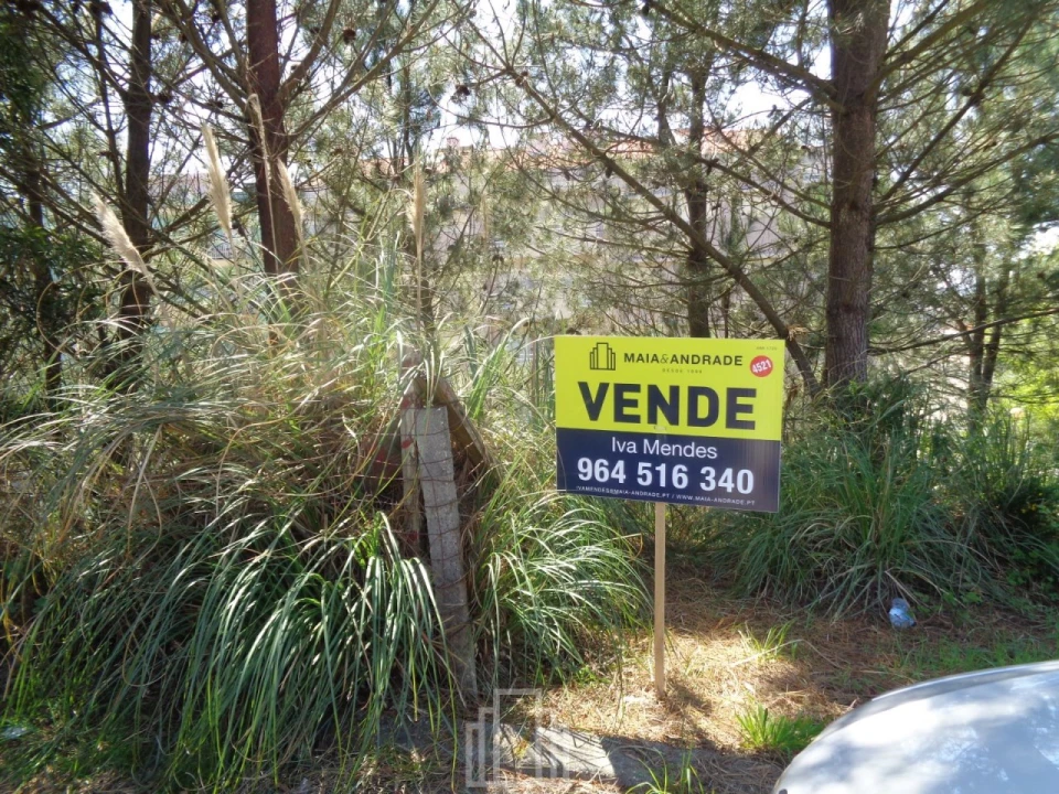 Terreno para Venda em São João de Ver Foto 2