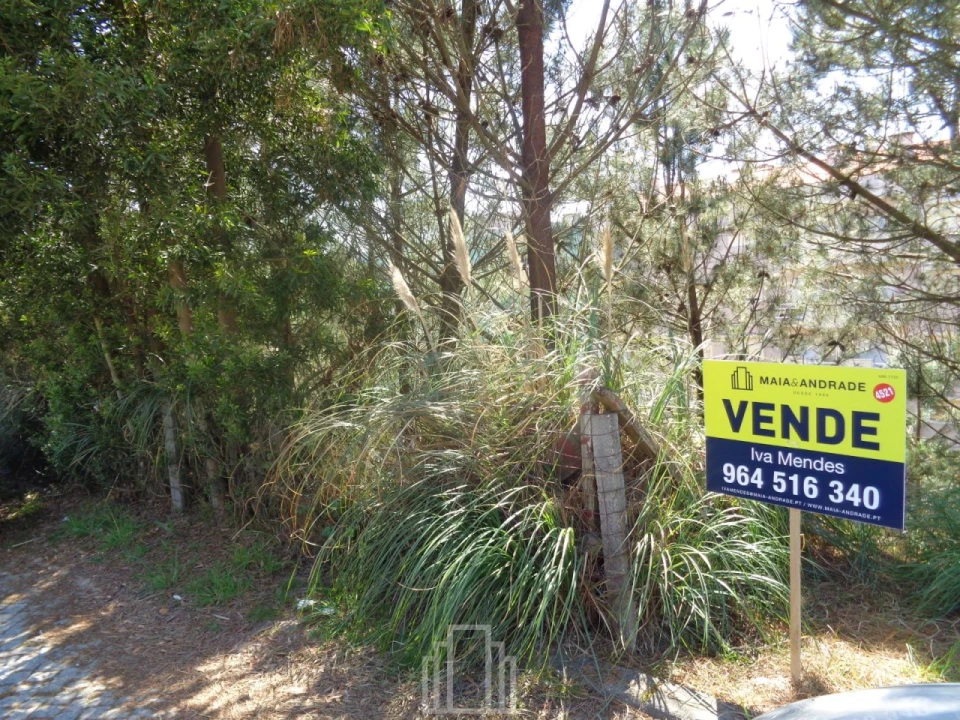Terreno para Venda em São João de Ver Foto 1