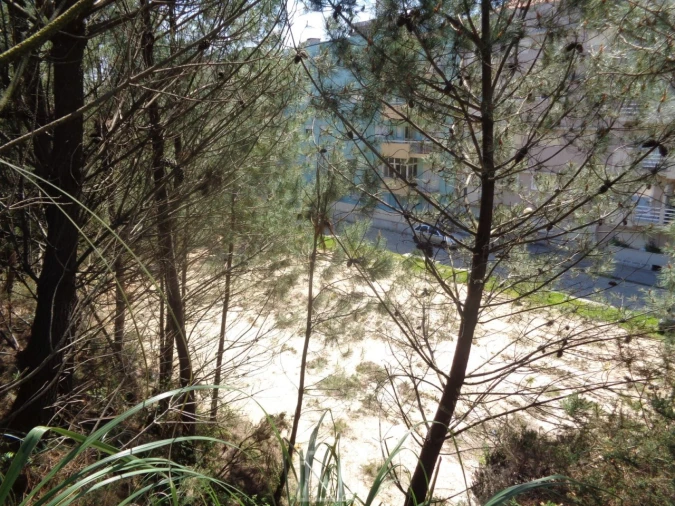 Terreno para Venda em São João de Ver Foto 3
