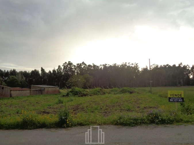 Terreno Agricola ou Rústico para Venda em Valega Foto 2