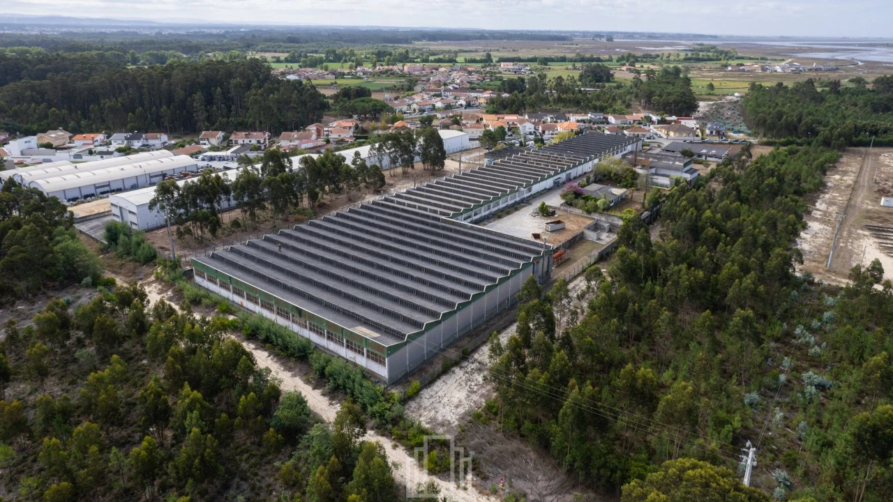 Armazém para Arrendamento em Ovar, São João, Arada e São Vicente de Pereira Jusã Foto 4