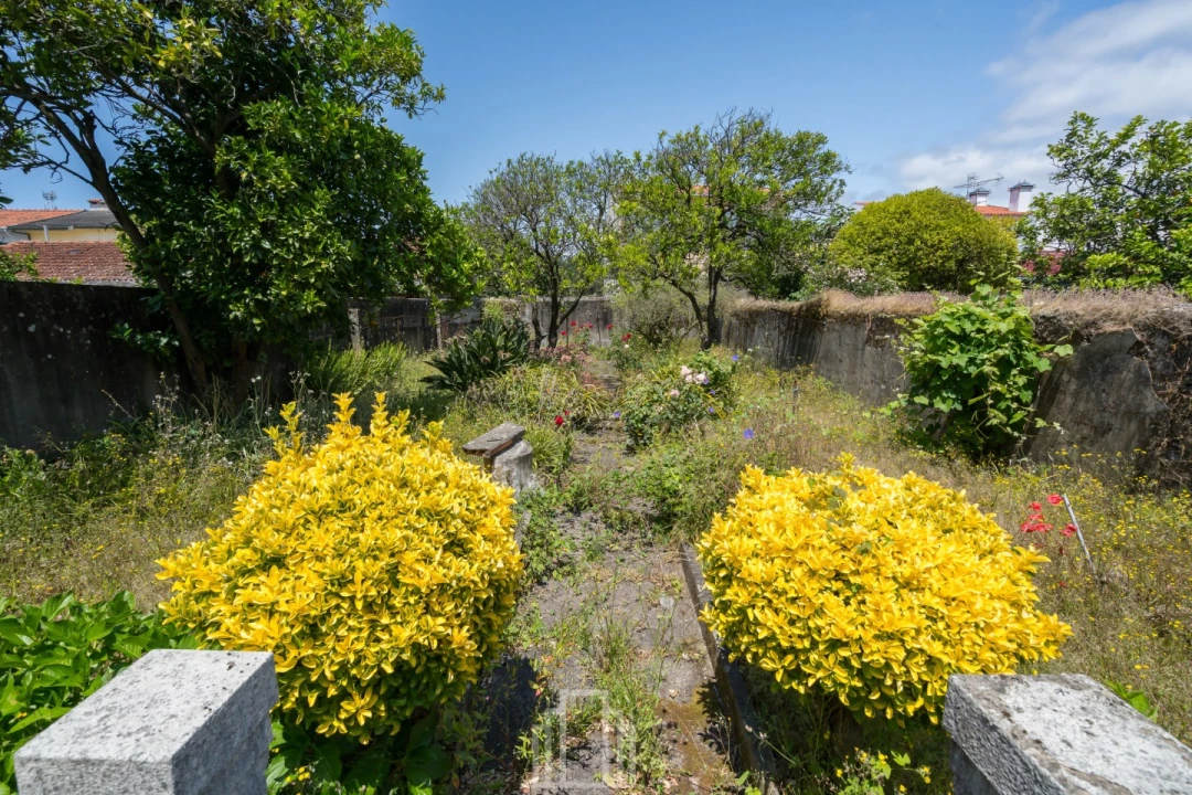 Moradia T4 para Venda em Ovar, São João, Arada e São Vicente de Pereira Jusã Foto 18