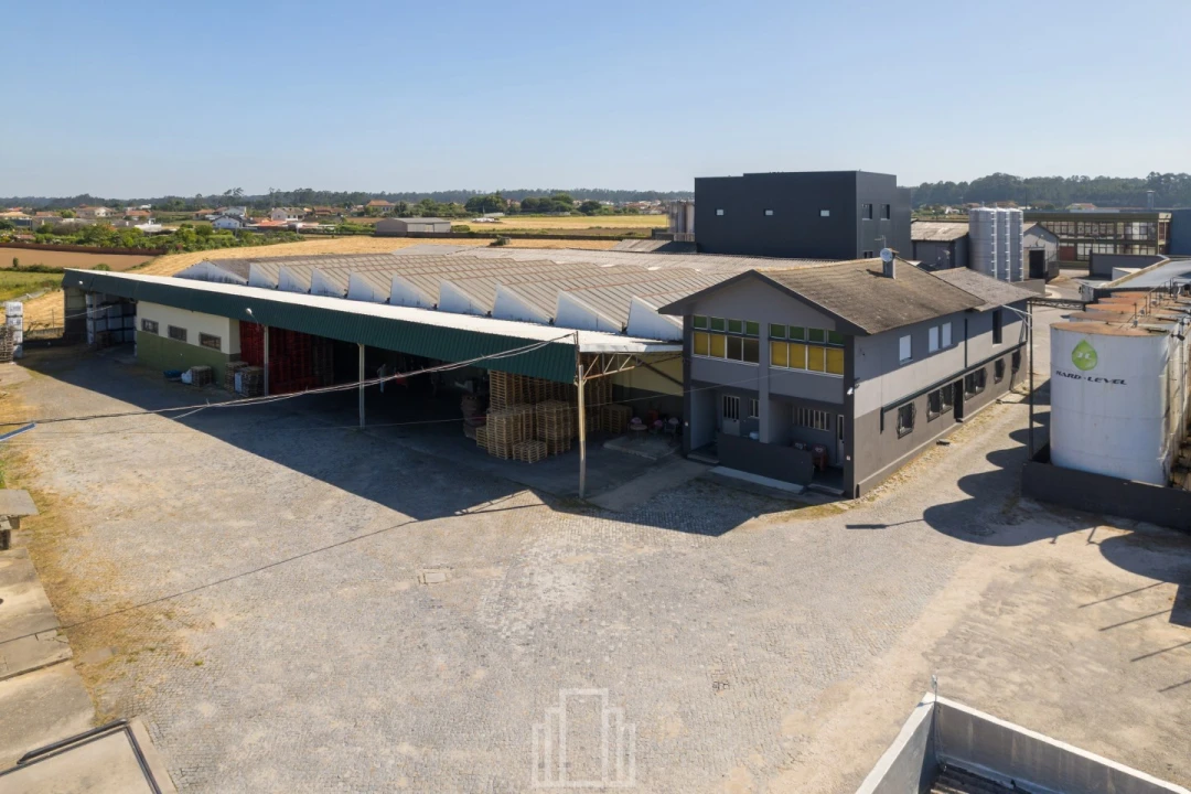 Armazém para Arrendamento em Avanca Foto 2