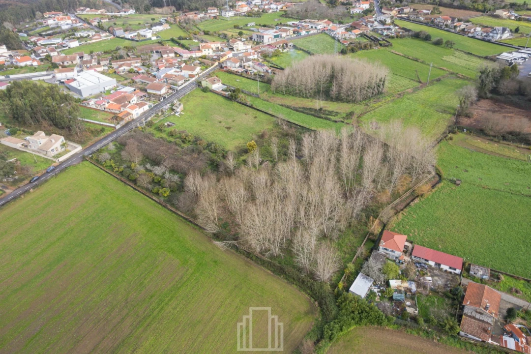 Terreno Agricola ou Rústico para Venda em São Miguel do Souto e Mosteirô Foto 4