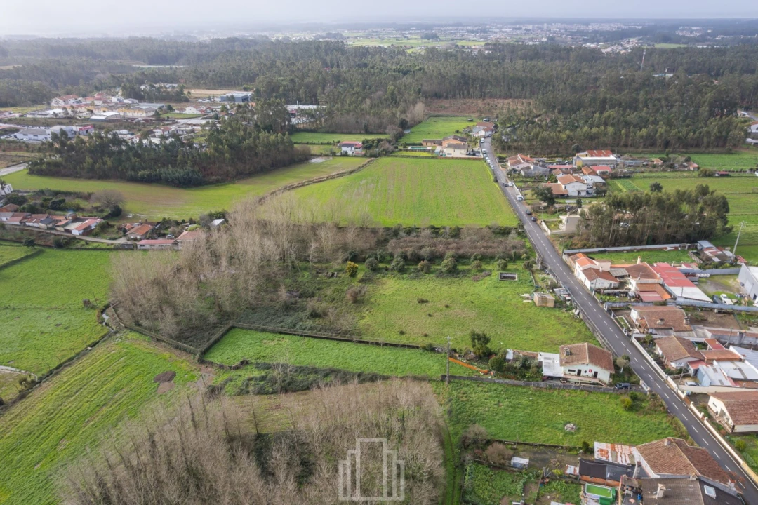 Terreno Agricola ou Rústico para Venda em São Miguel do Souto e Mosteirô Foto 5