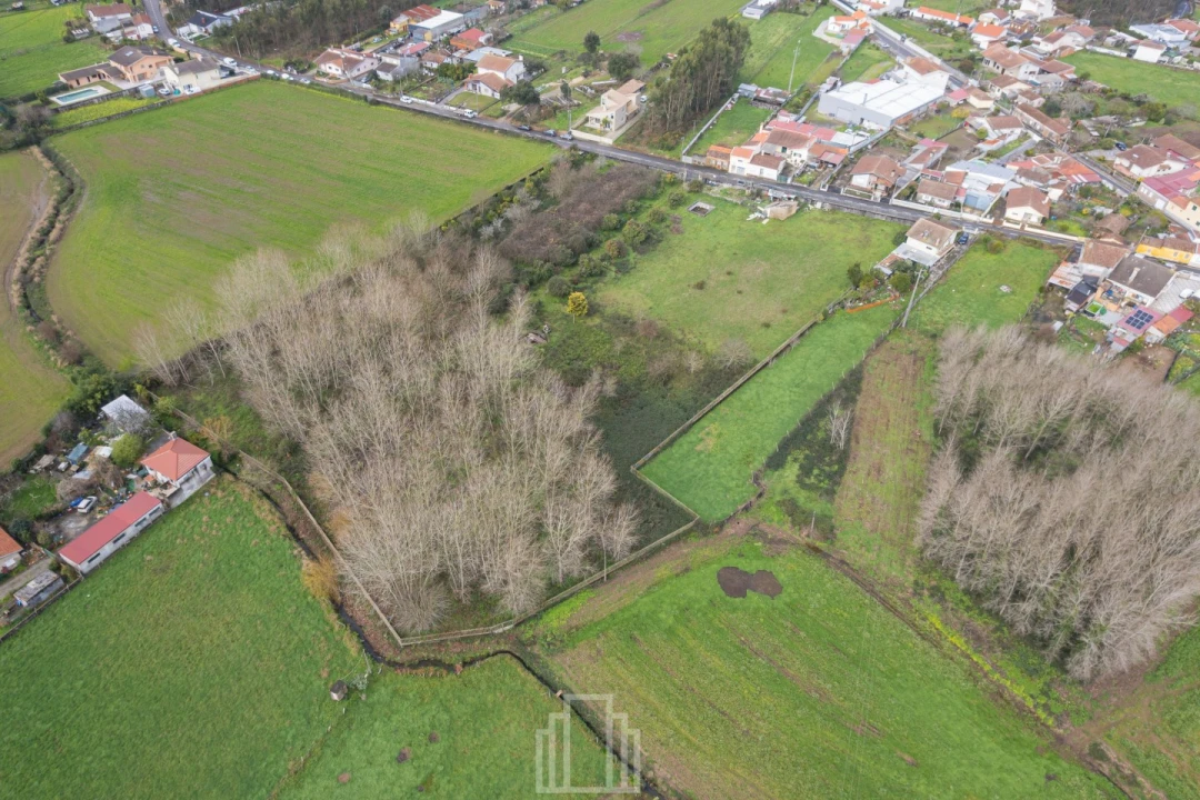 Terreno Agricola ou Rústico para Venda em São Miguel do Souto e Mosteirô Foto 6