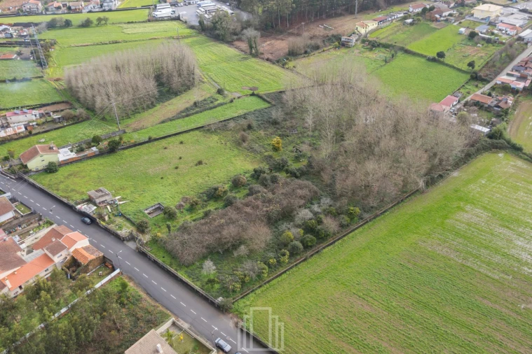 Terreno Agricola ou Rústico para Venda em São Miguel do Souto e Mosteirô Foto 2